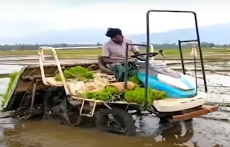 Kisan