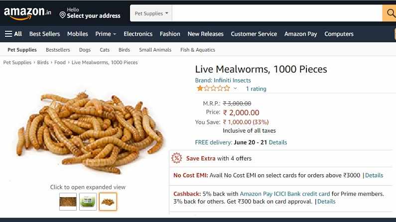 This worm will get rid of the plastic waste which we cannot destroy, it